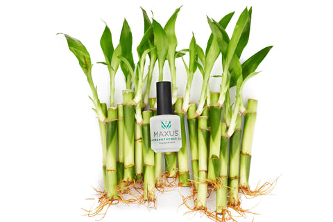 Strengthener 2.0 - Safe Effective Formulation Maxus Nails 